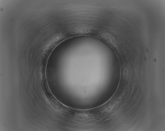 X0000073920635200608181050