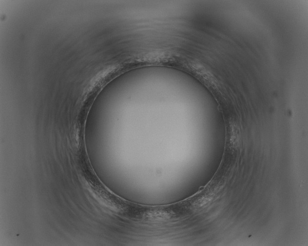 X0000073920636200608181050