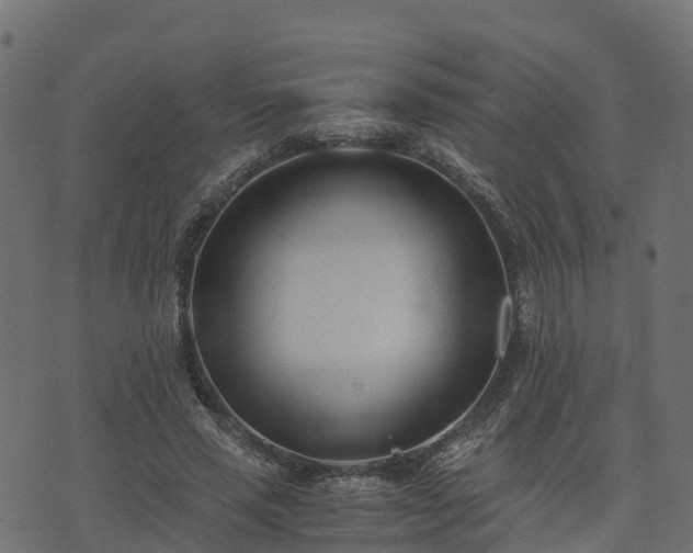 X0000073920637200608181050