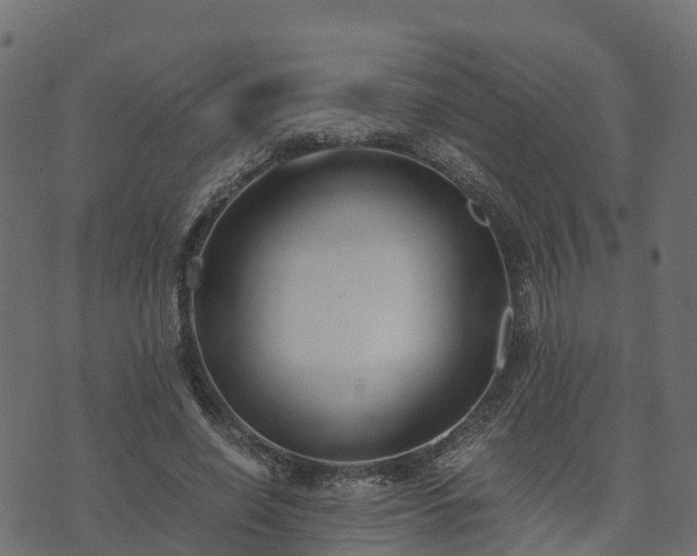 X0000073920638200608181050