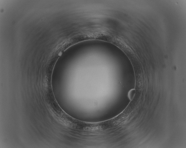 X0000073920639200608181050