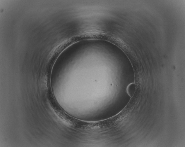 X0000073920640200608181050