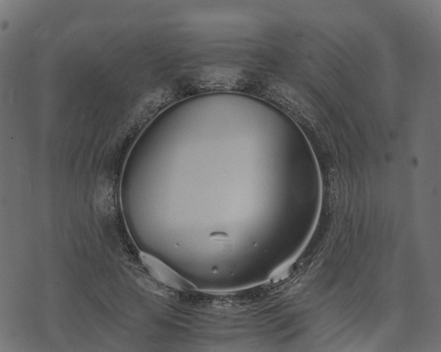 X0000073920641200608181050