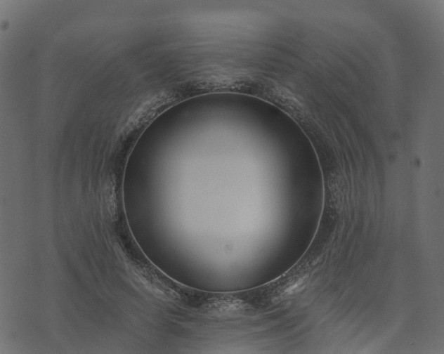 X0000073920642200608181050