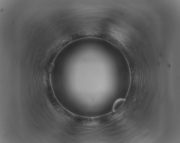 X0000073920643200608181050