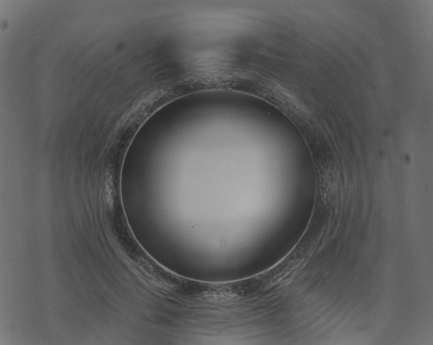 X0000073920644200608181050