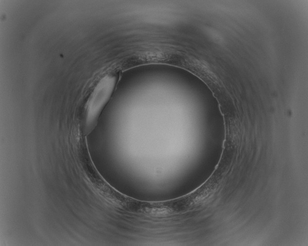 X0000073920645200608181050