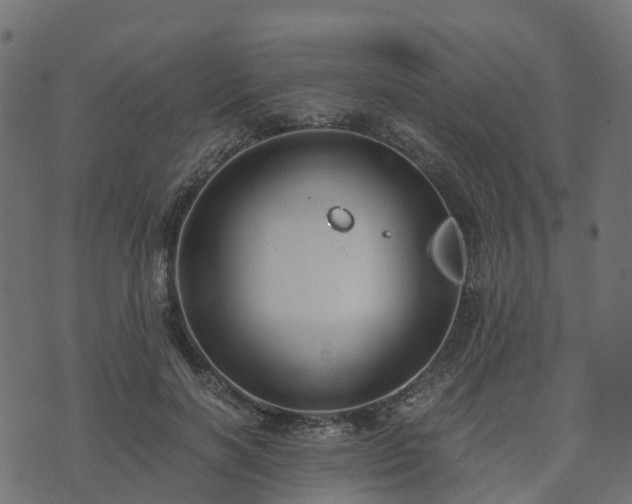 X0000073920646200608181050