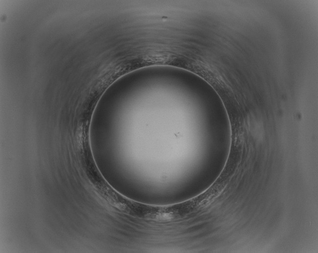 X0000073920647200608181050