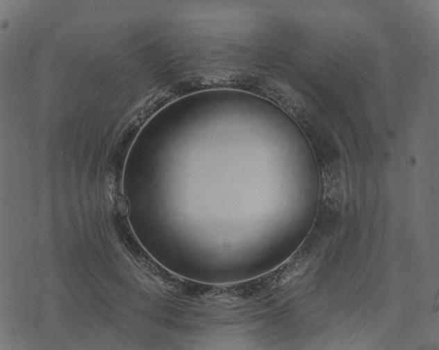 X0000073920648200608181050