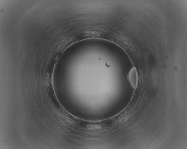 X0000073920649200608181050