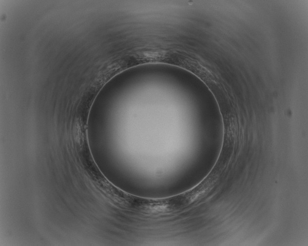 X0000073920651200608181050