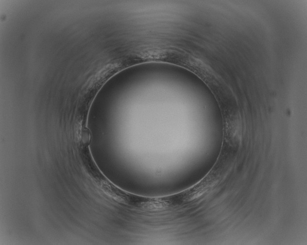 X0000073920652200608181050