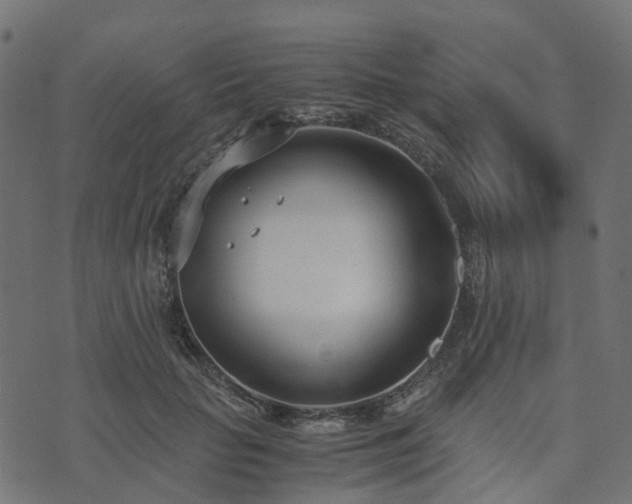 X0000073920653200608181050