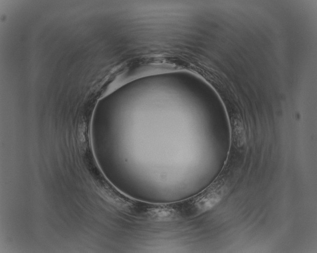 X0000073920654200608181050