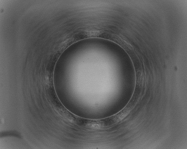 X0000073920655200608181050