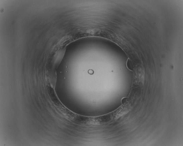 X0000073920656200608181050