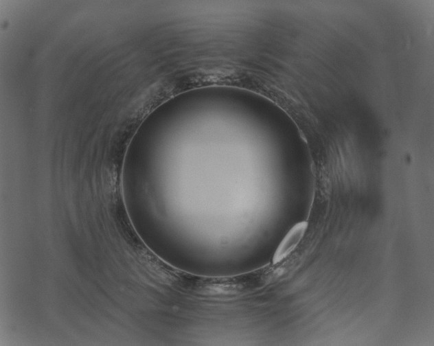 X0000073920657200608181050