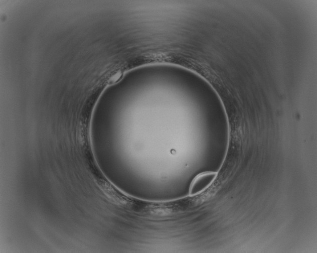 X0000073920658200608181050