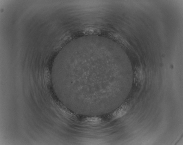 X0000073920659200608181050