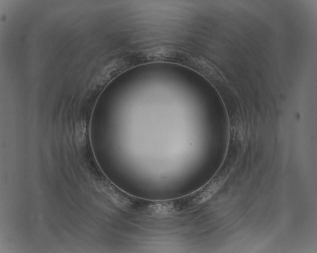 X0000073920660200608181050