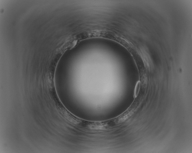 X0000073920661200608181050