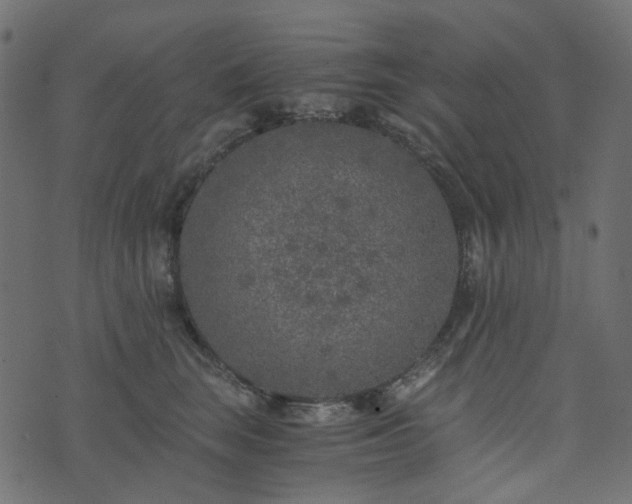 X0000073920663200608181050