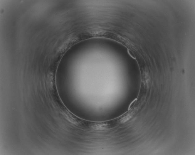 X0000073920664200608181050