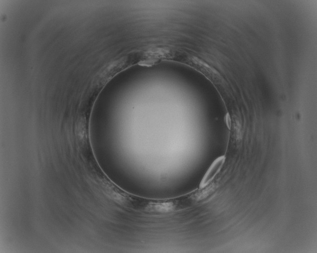 X0000073920665200608181050