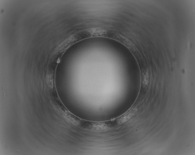 X0000073920666200608181050