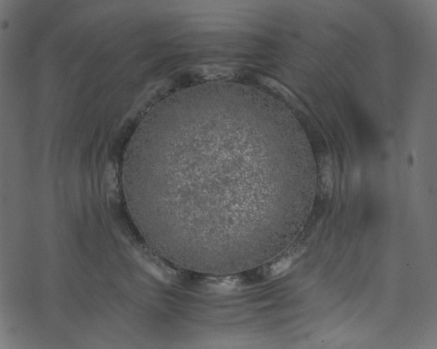 X0000073920667200608181050