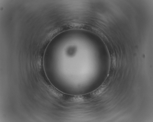 X0000073920668200608181050