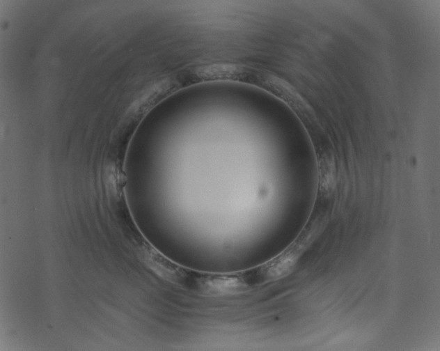 X0000073920669200608181050