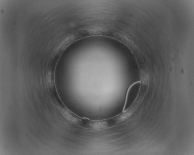 X0000073920670200608181050