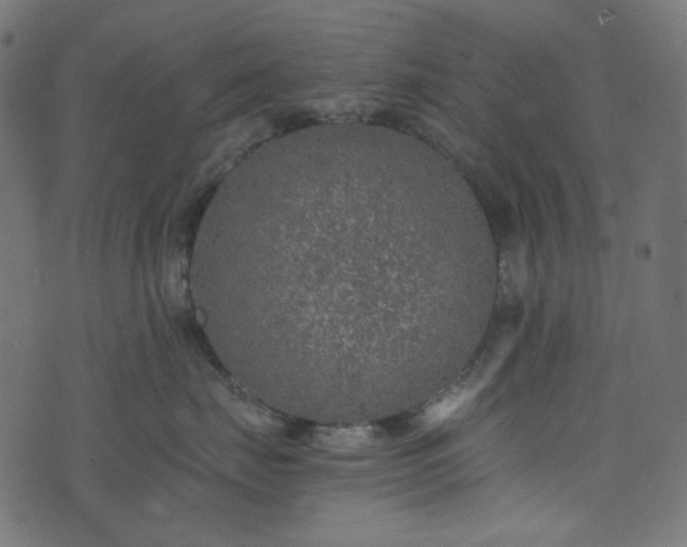 X0000073920671200608181050