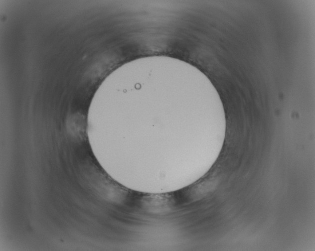 X0000073920672200608181050