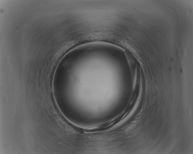 X0000073920673200608181050