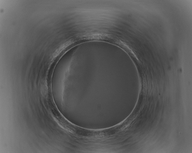 X0000073920674200608181050