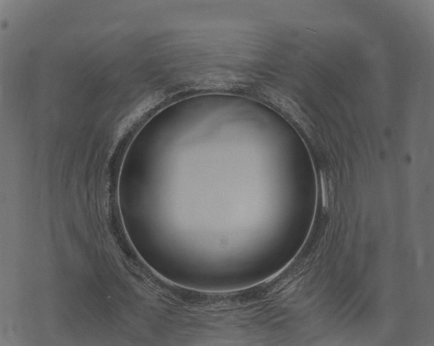 X0000073920675200608181050