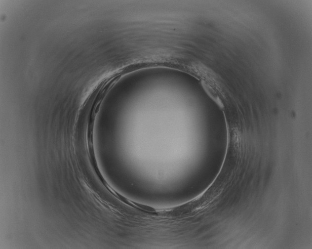 X0000073920676200608181050