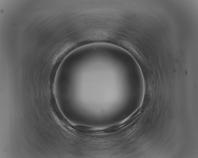 X0000073920677200608181050