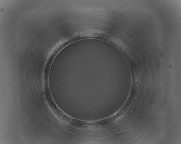 X0000073920678200608181050