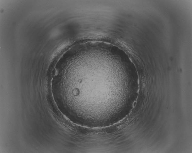 X0000073920679200608181050