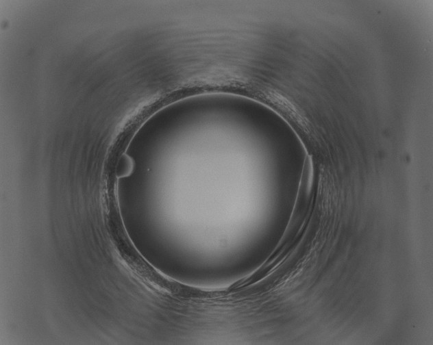 X0000073920680200608181050