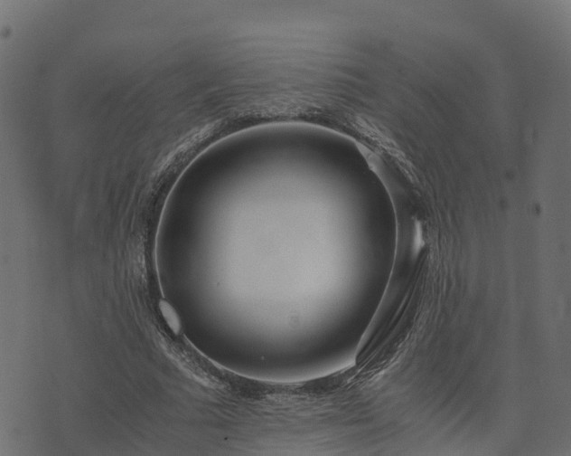 X0000073920681200608181050