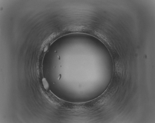 X0000073920682200608181050