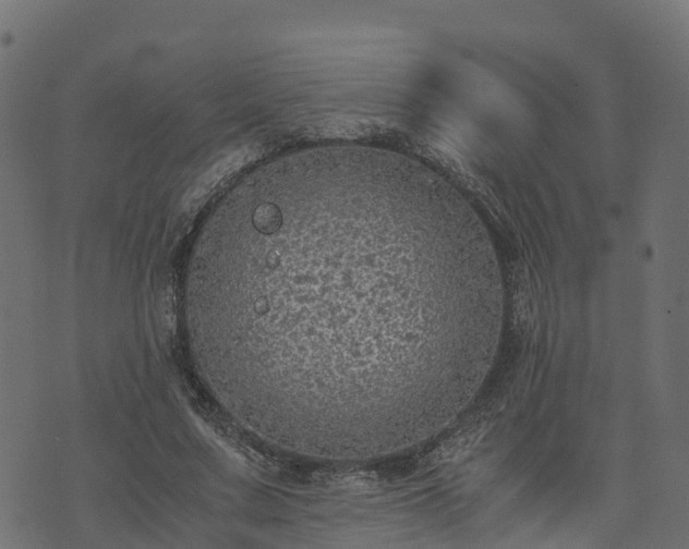 X0000073920683200608181050