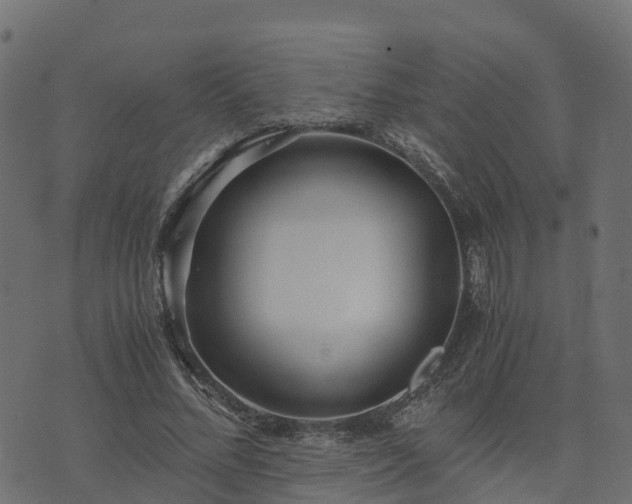 X0000073920684200608181050