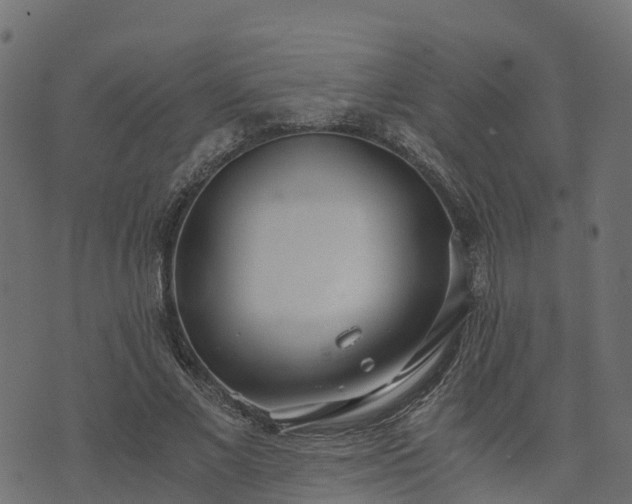 X0000073920685200608181050