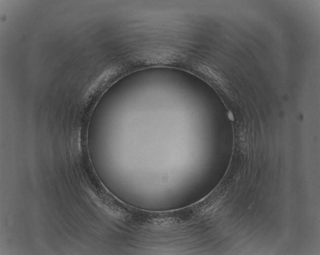 X0000073920686200608181050